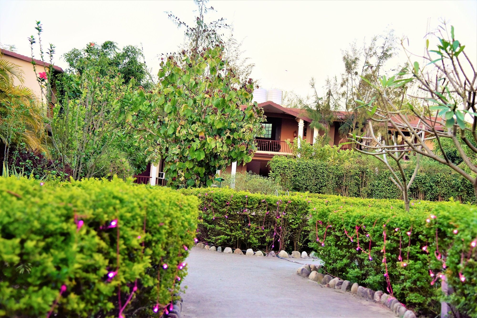 Palette Alaya Resort, Corbett Nainital Ngoại thất bức ảnh